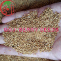 Goji Berry seeds for planting/NQ-01/NQ-07/NQ-09 goji seeds